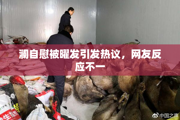 澜自慰被曜发引发热议，网友反应不一