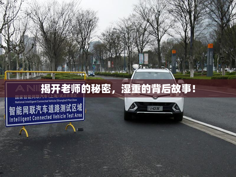 揭开老师的秘密，湿重的背后故事！