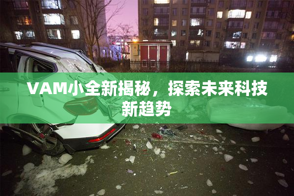 VAM小全新揭秘，探索未来科技新趋势