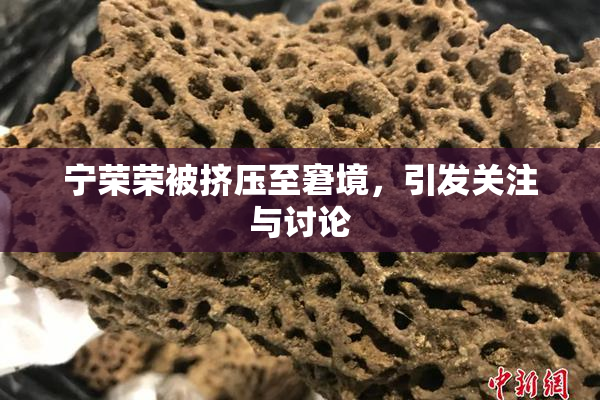 宁荣荣被挤压至窘境，引发关注与讨论