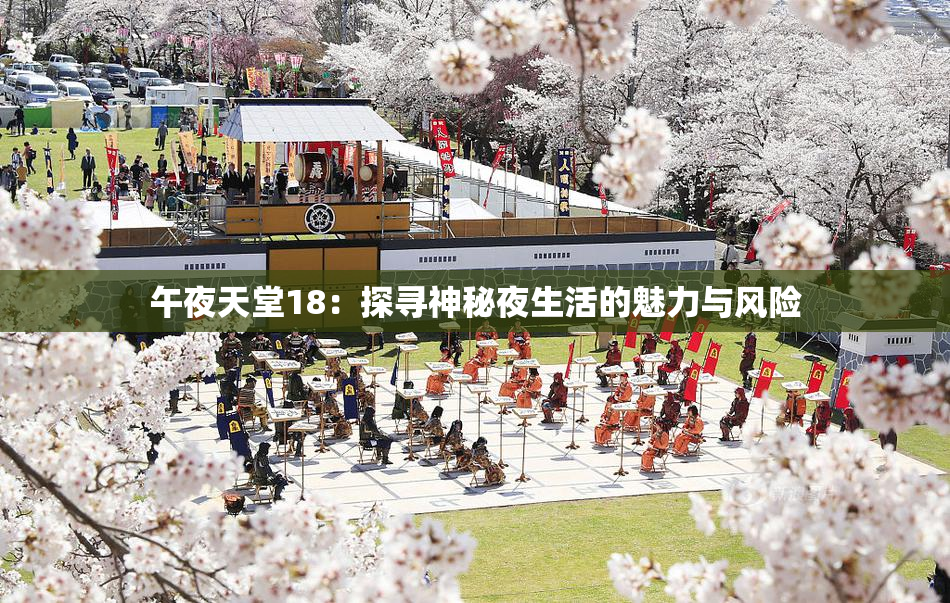 午夜天堂18：探寻神秘夜生活的魅力与风险