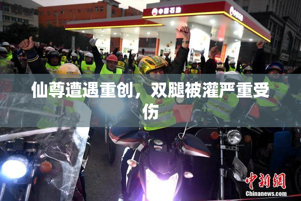 仙尊遭遇重创，双腿被灌严重受伤