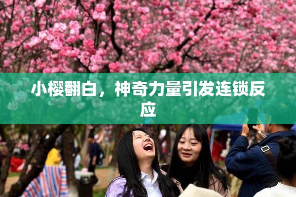 小樱翻白，神奇力量引发连锁反应