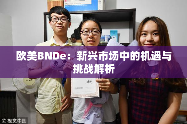 欧美BNDe：新兴市场中的机遇与挑战解析