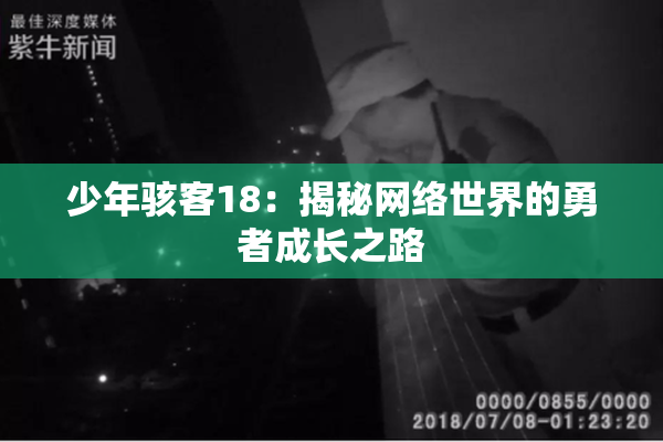 少年骇客18：揭秘网络世界的勇者成长之路
