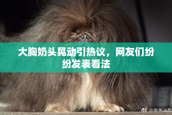 大胸奶头晃动引热议，网友们纷纷发表看法