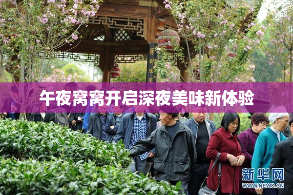 午夜窝窝开启深夜美味新体验