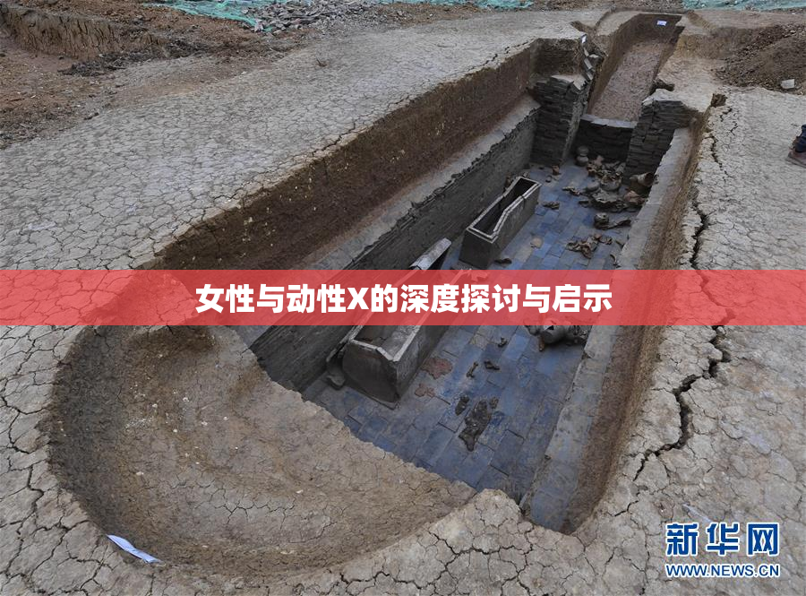 女性与动性X的深度探讨与启示