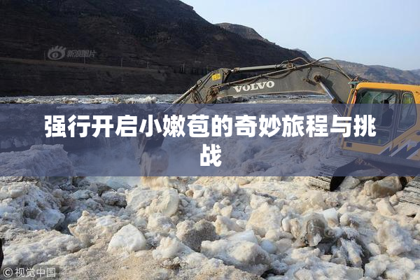 强行开启小嫩苞的奇妙旅程与挑战