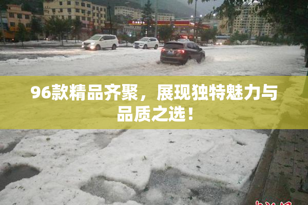 96款精品齐聚，展现独特魅力与品质之选！