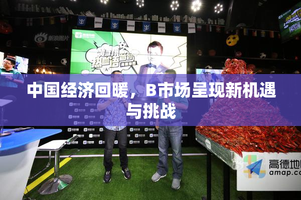 中国经济回暖，B市场呈现新机遇与挑战