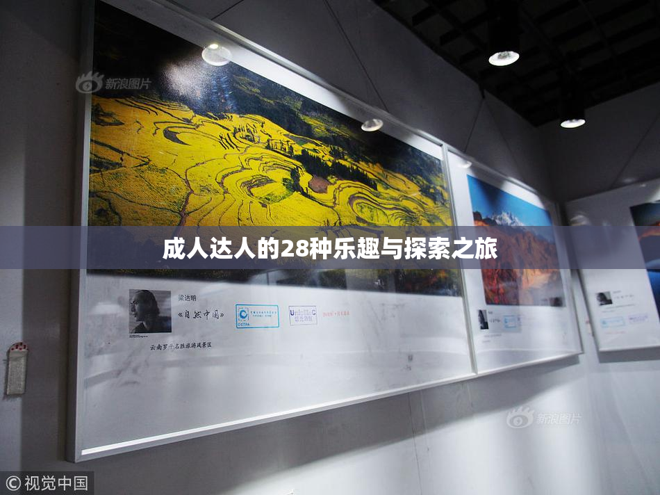 成人达人的28种乐趣与探索之旅