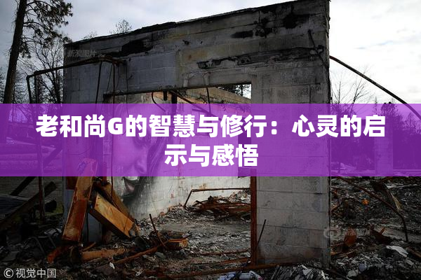 老和尚G的智慧与修行：心灵的启示与感悟