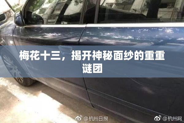 梅花十三，揭开神秘面纱的重重谜团