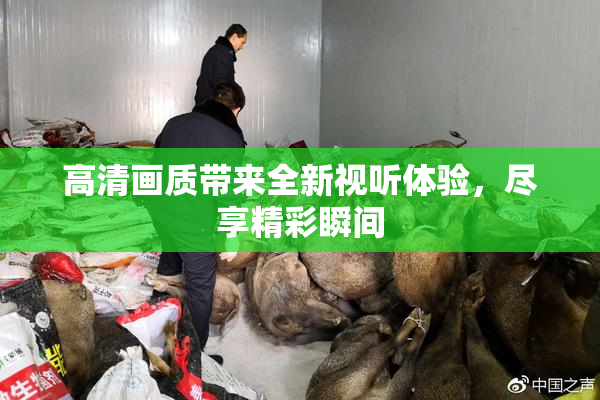 高清画质带来全新视听体验，尽享精彩瞬间
