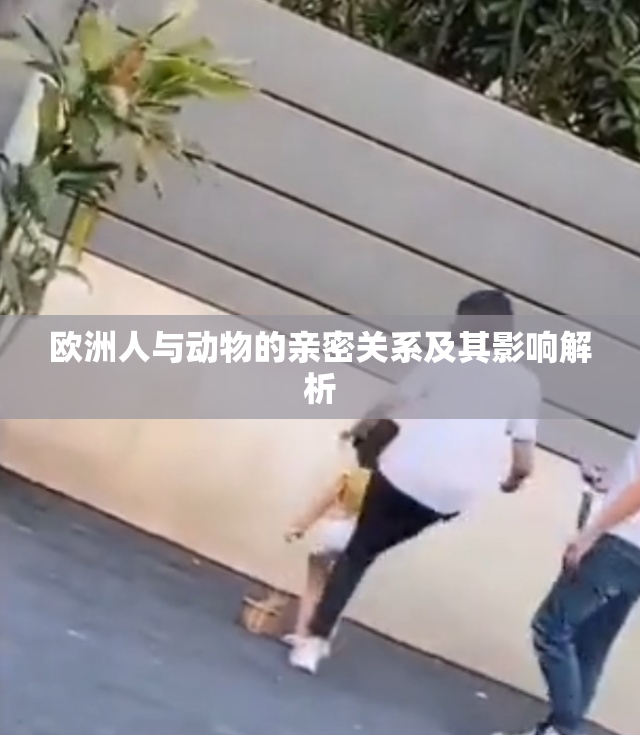 欧洲人与动物的亲密关系及其影响解析