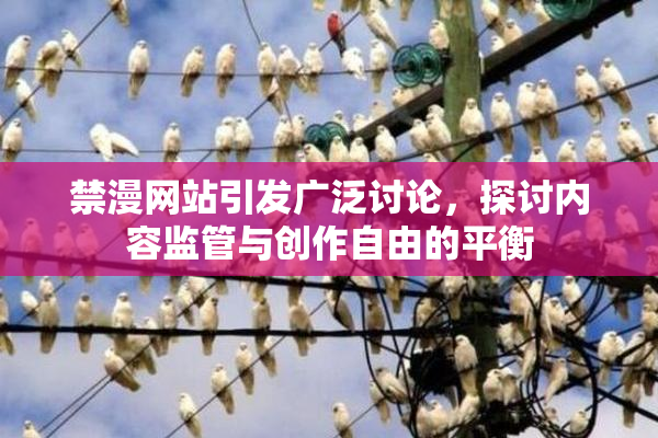 禁漫网站引发广泛讨论，探讨内容监管与创作自由的平衡