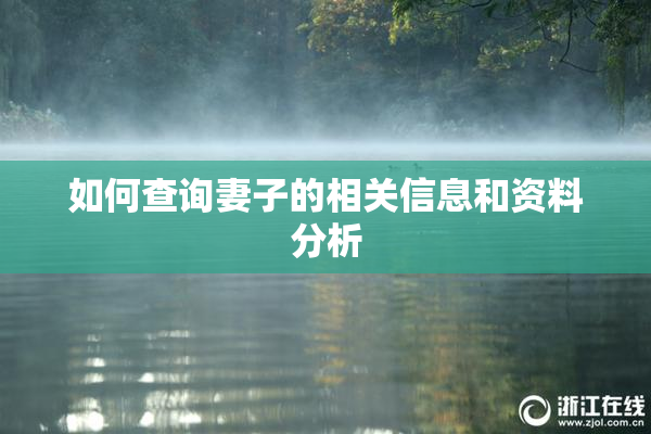 如何查询妻子的相关信息和资料分析