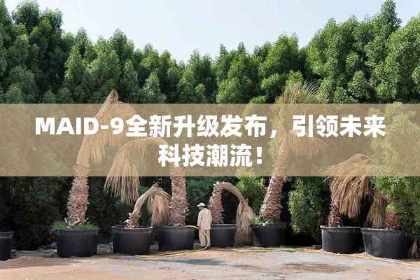 MAID-9全新升级发布，引领未来科技潮流！