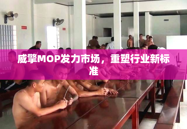 威擎MOP发力市场，重塑行业新标准