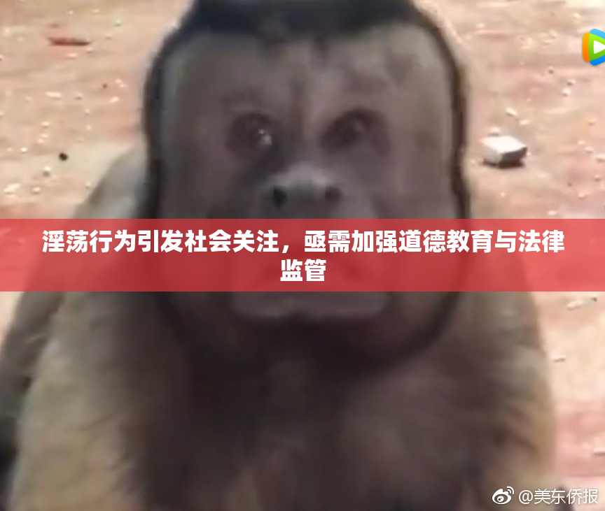 淫荡行为引发社会关注，亟需加强道德教育与法律监管