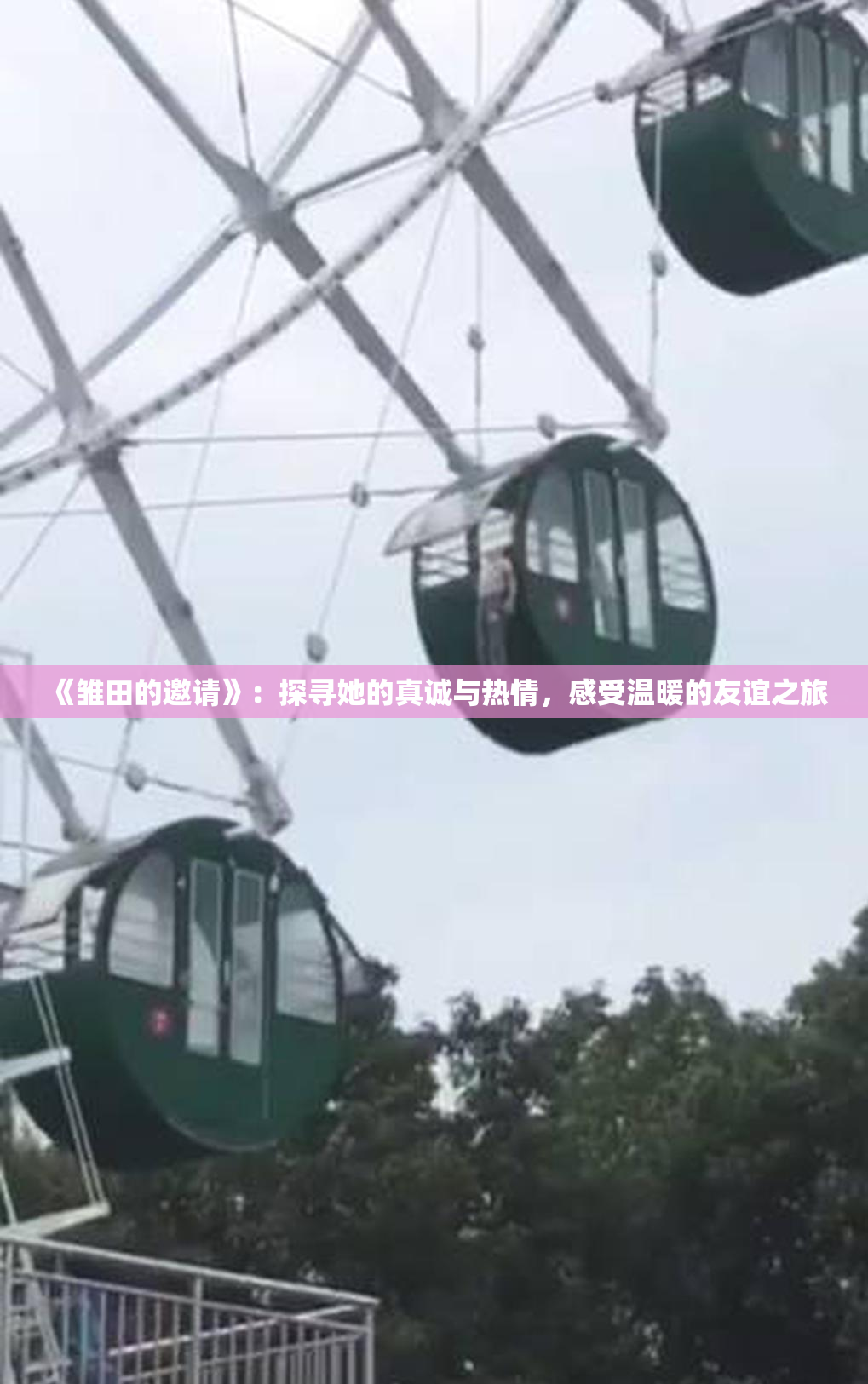 《雏田的邀请》：探寻她的真诚与热情，感受温暖的友谊之旅
