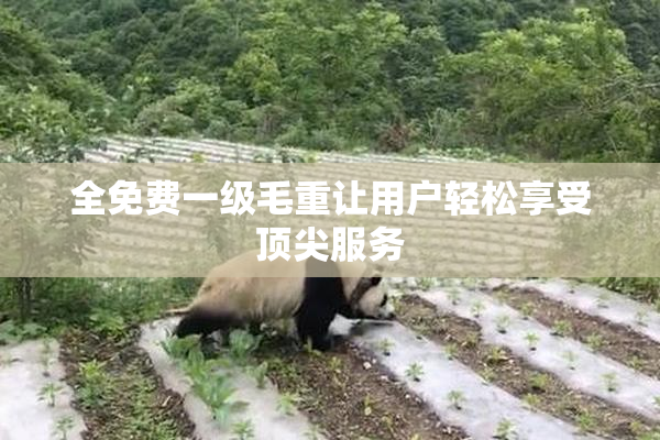 全免费一级毛重让用户轻松享受顶尖服务