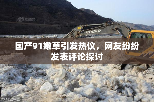 国产91嫩草引发热议，网友纷纷发表评论探讨