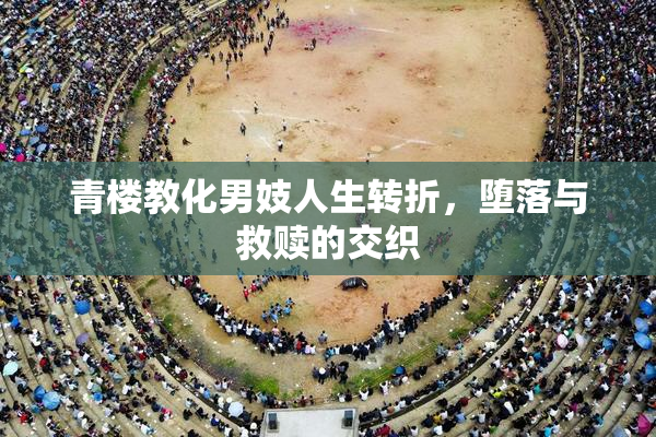 青楼教化男妓人生转折，堕落与救赎的交织