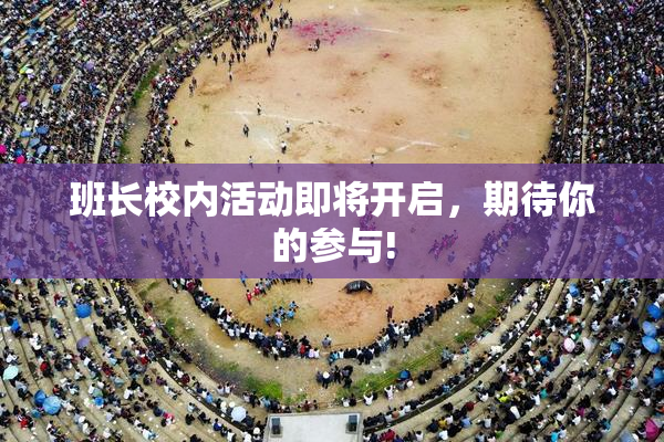 班长校内活动即将开启，期待你的参与!