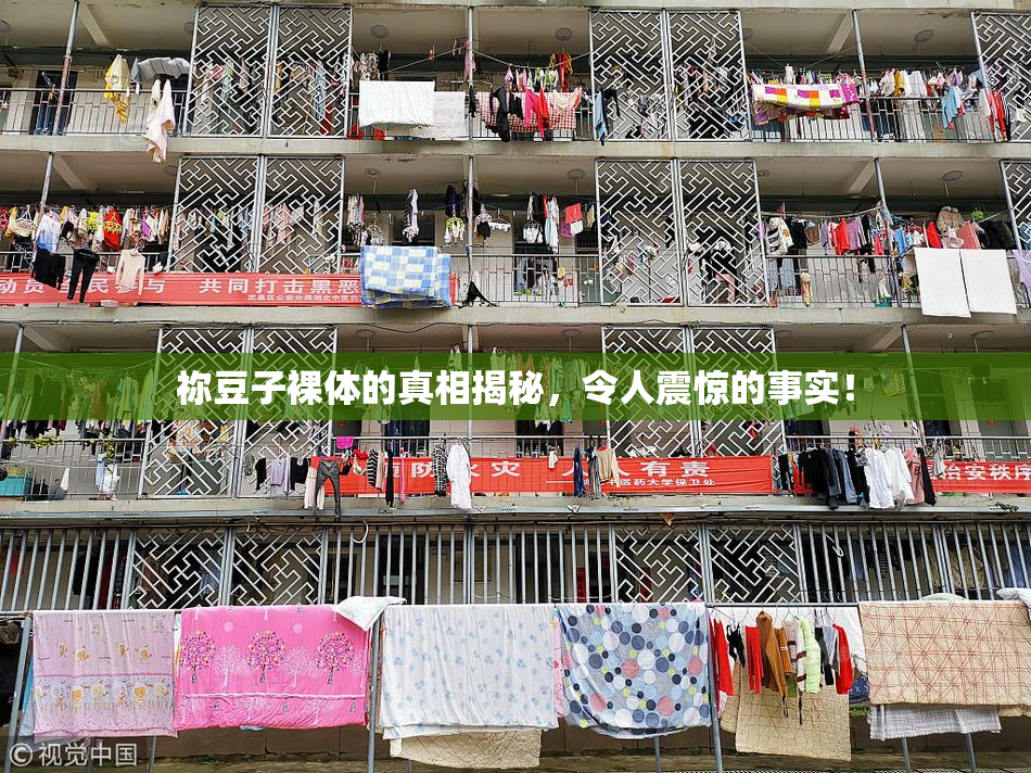 祢豆子裸体的真相揭秘，令人震惊的事实！