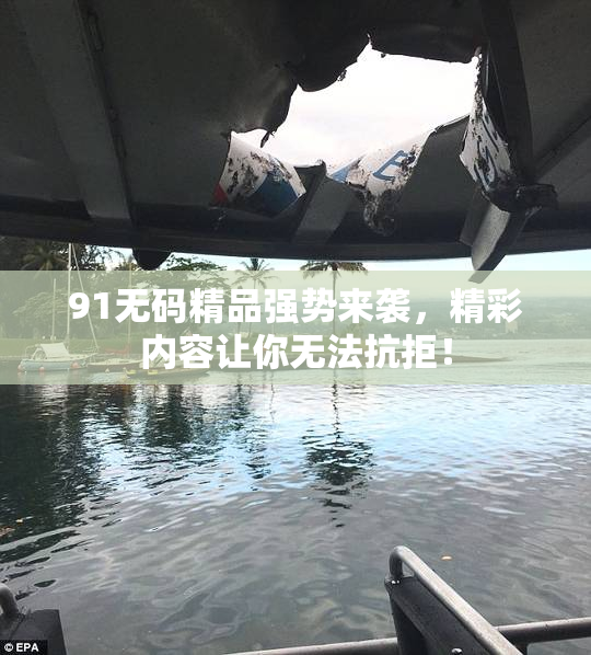 91无码精品强势来袭，精彩内容让你无法抗拒！
