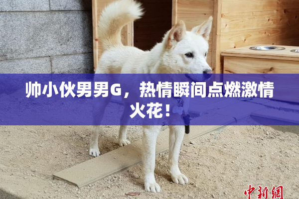 帅小伙男男G，热情瞬间点燃激情火花！