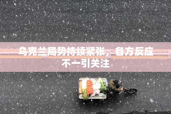 乌克兰局势持续紧张，各方反应不一引关注