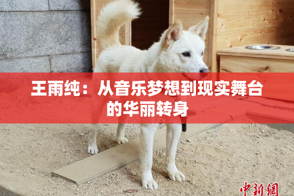 王雨纯：从音乐梦想到现实舞台的华丽转身