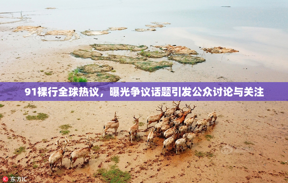 91裸行全球热议，曝光争议话题引发公众讨论与关注