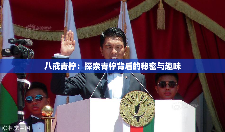 八戒青柠：探索青柠背后的秘密与趣味