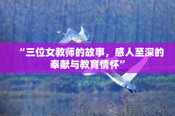 “三位女教师的故事，感人至深的奉献与教育情怀”