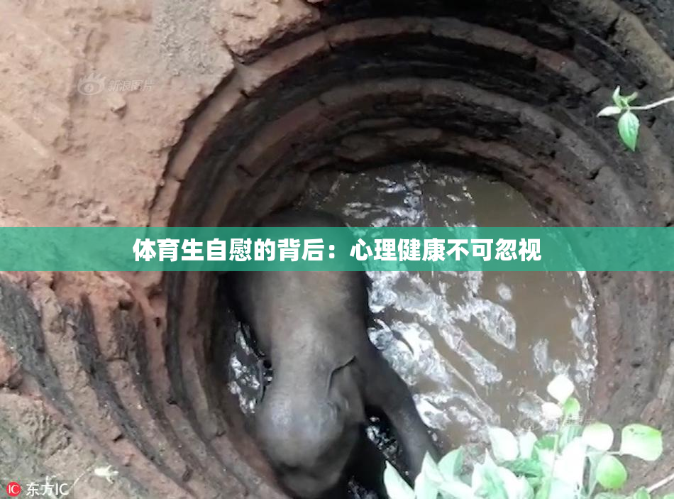 体育生自慰的背后：心理健康不可忽视