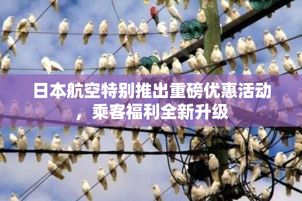 日本航空特别推出重磅优惠活动，乘客福利全新升级