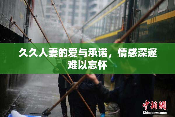 久久人妻的爱与承诺，情感深邃难以忘怀
