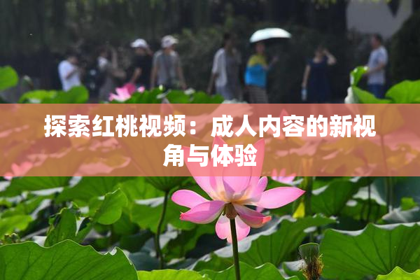 探索红桃视频：成人内容的新视角与体验