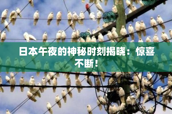 日本午夜的神秘时刻揭晓：惊喜不断！
