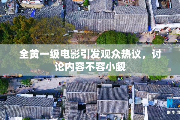 全黄一级电影引发观众热议，讨论内容不容小觑