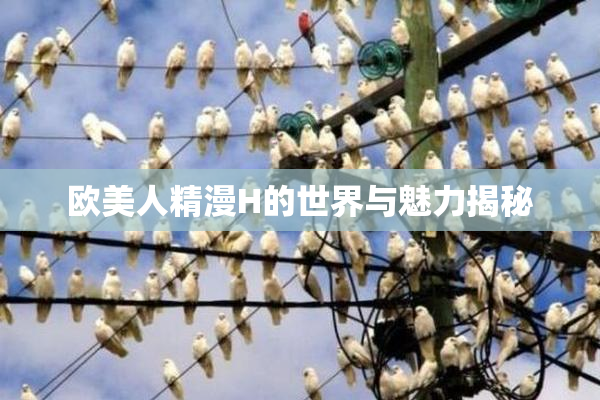 欧美人精漫H的世界与魅力揭秘