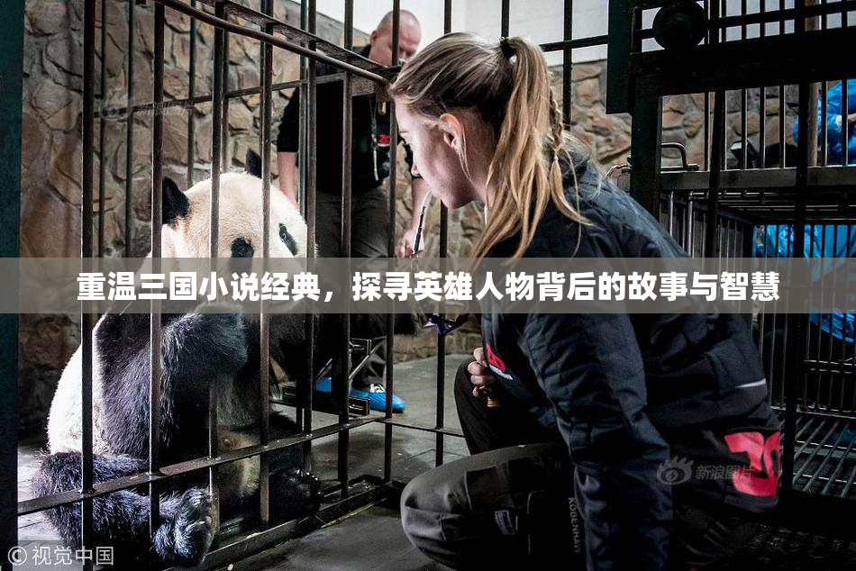 重温三国小说经典，探寻英雄人物背后的故事与智慧