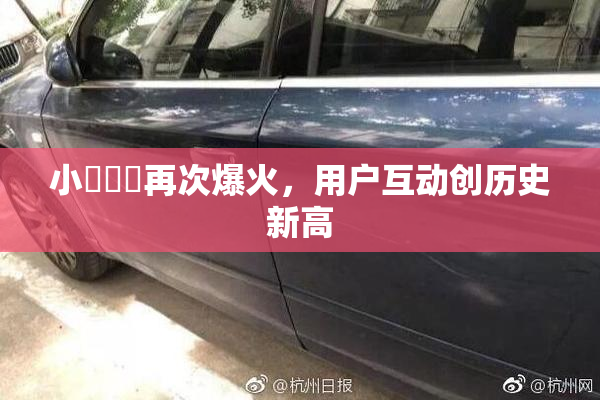 小藍視頻再次爆火，用户互动创历史新高