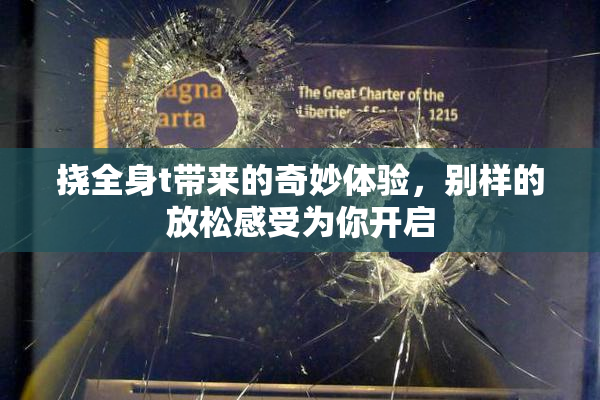 挠全身t带来的奇妙体验，别样的放松感受为你开启