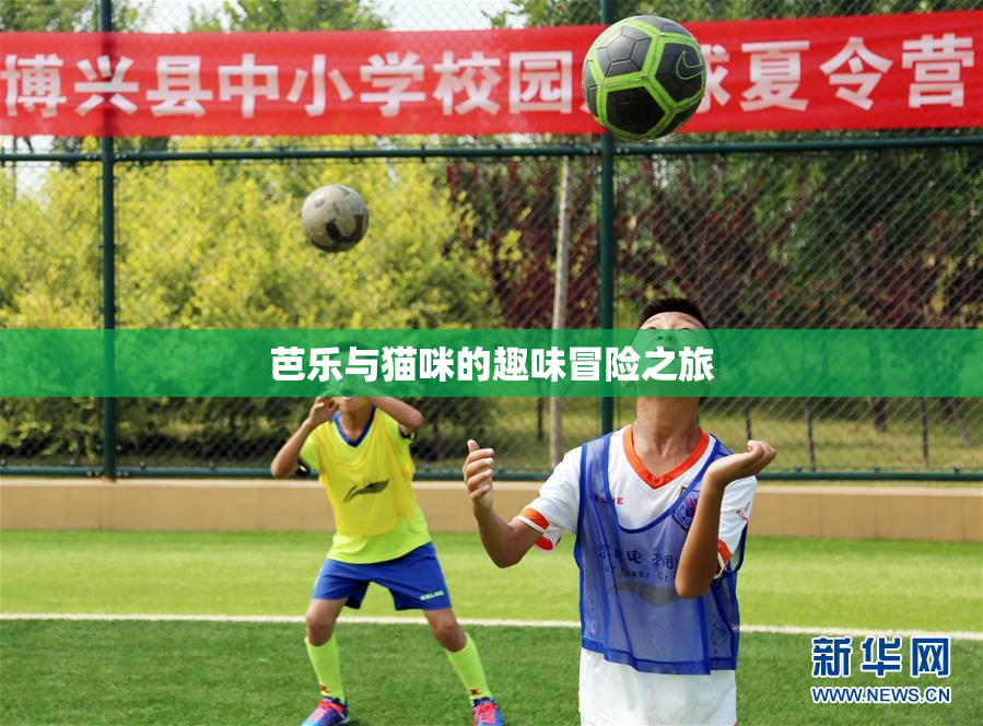 芭乐与猫咪的趣味冒险之旅