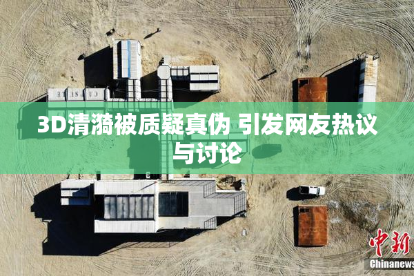 3D清漪被质疑真伪 引发网友热议与讨论
